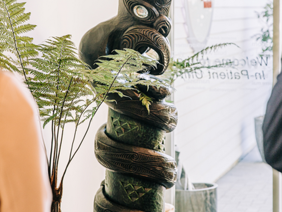 Tauawhi and upgrades to the Inpatient unit strengthen care for patients and whānau